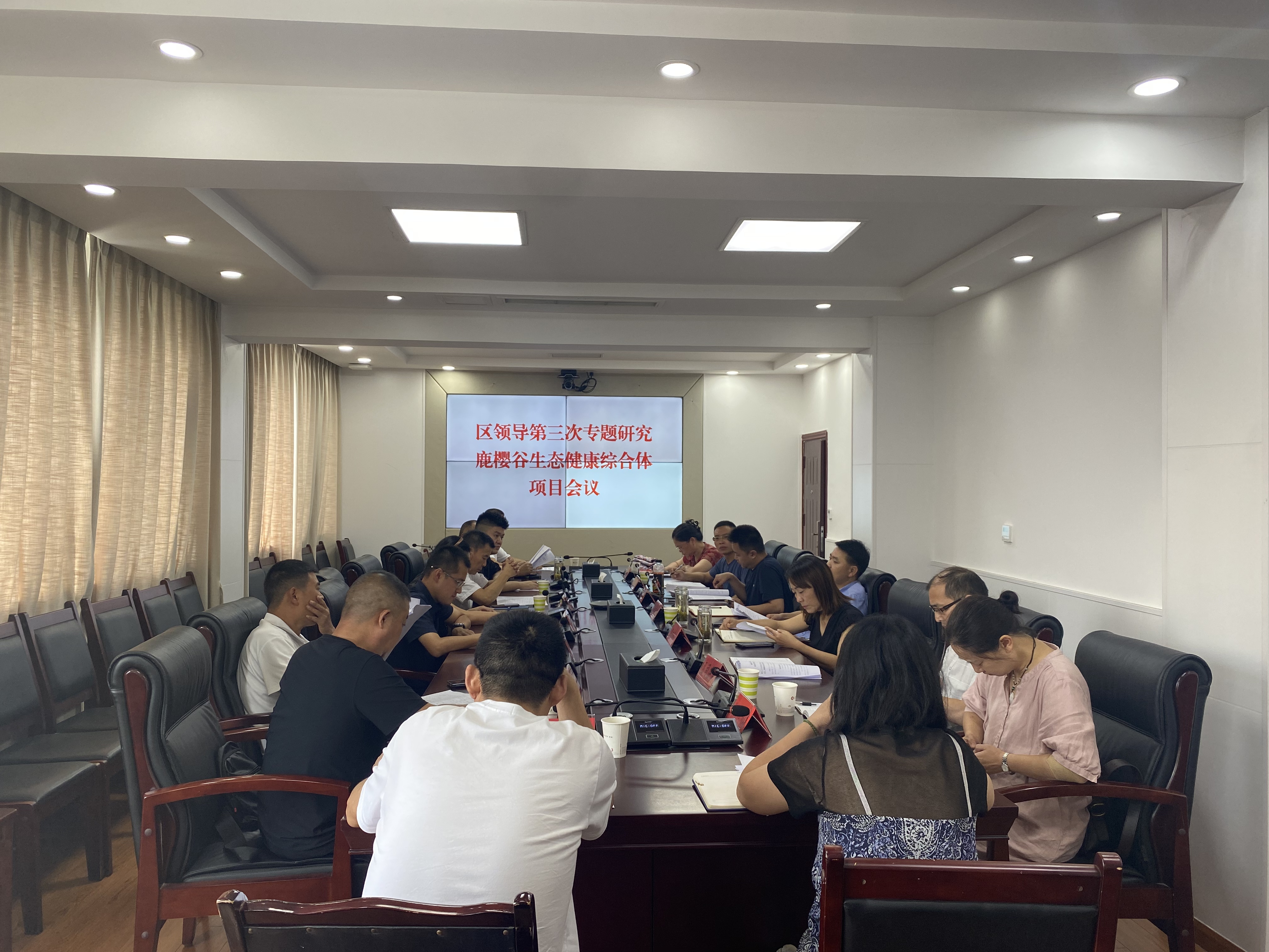 利州区召开鹿樱谷生态健康综合体项目工作推...