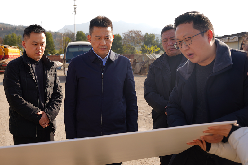 罗凌云调研城建国土领域重点工作