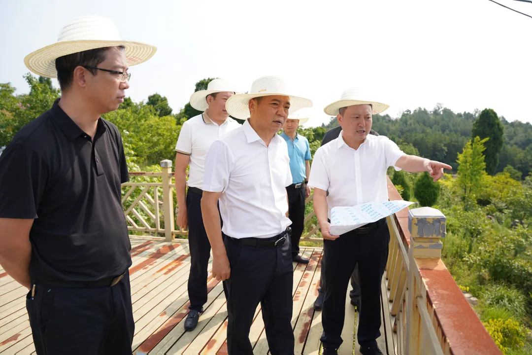 张勋图调研乡村振兴工作